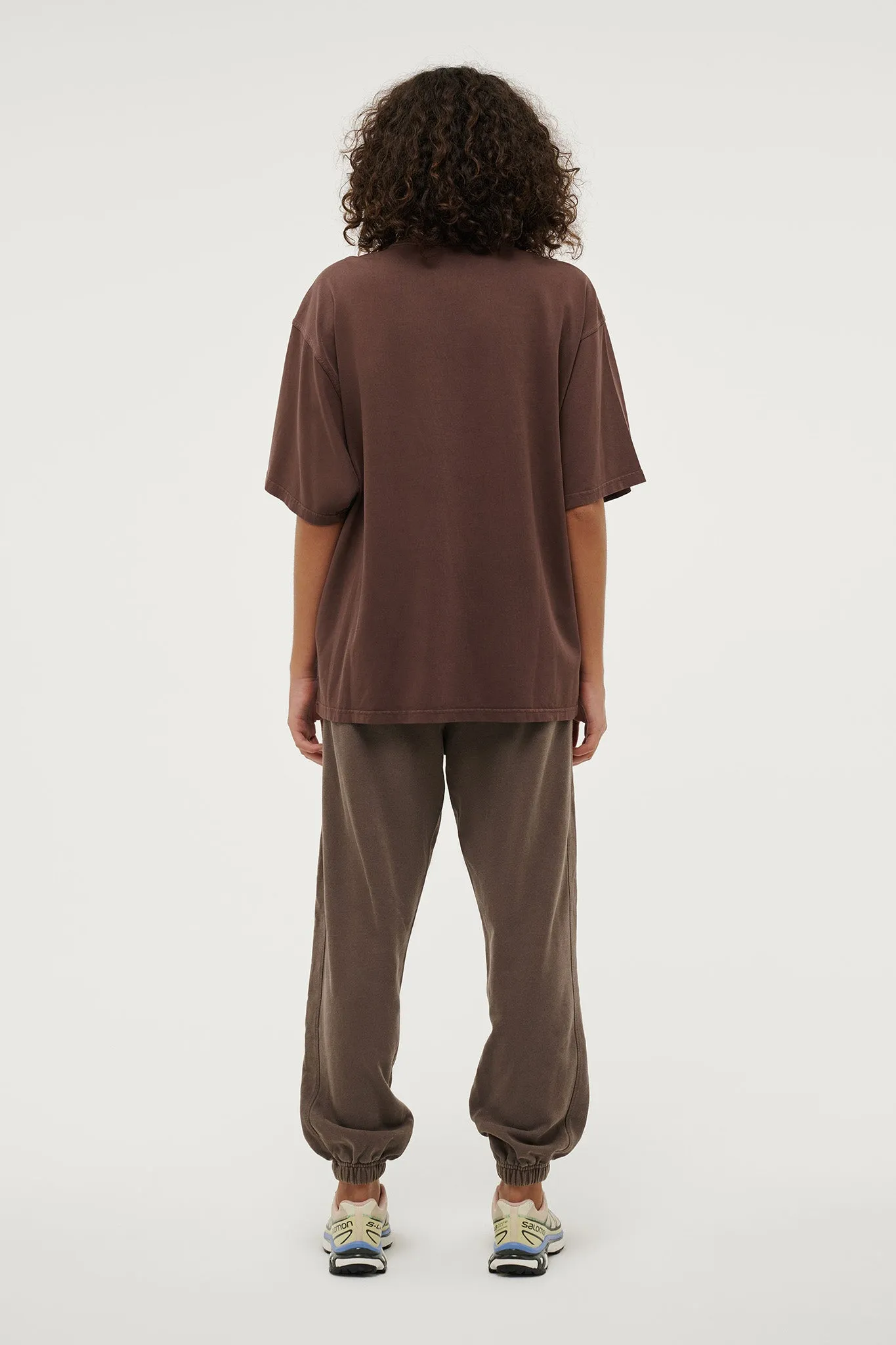Phoenix Tee | Washed Chesnut