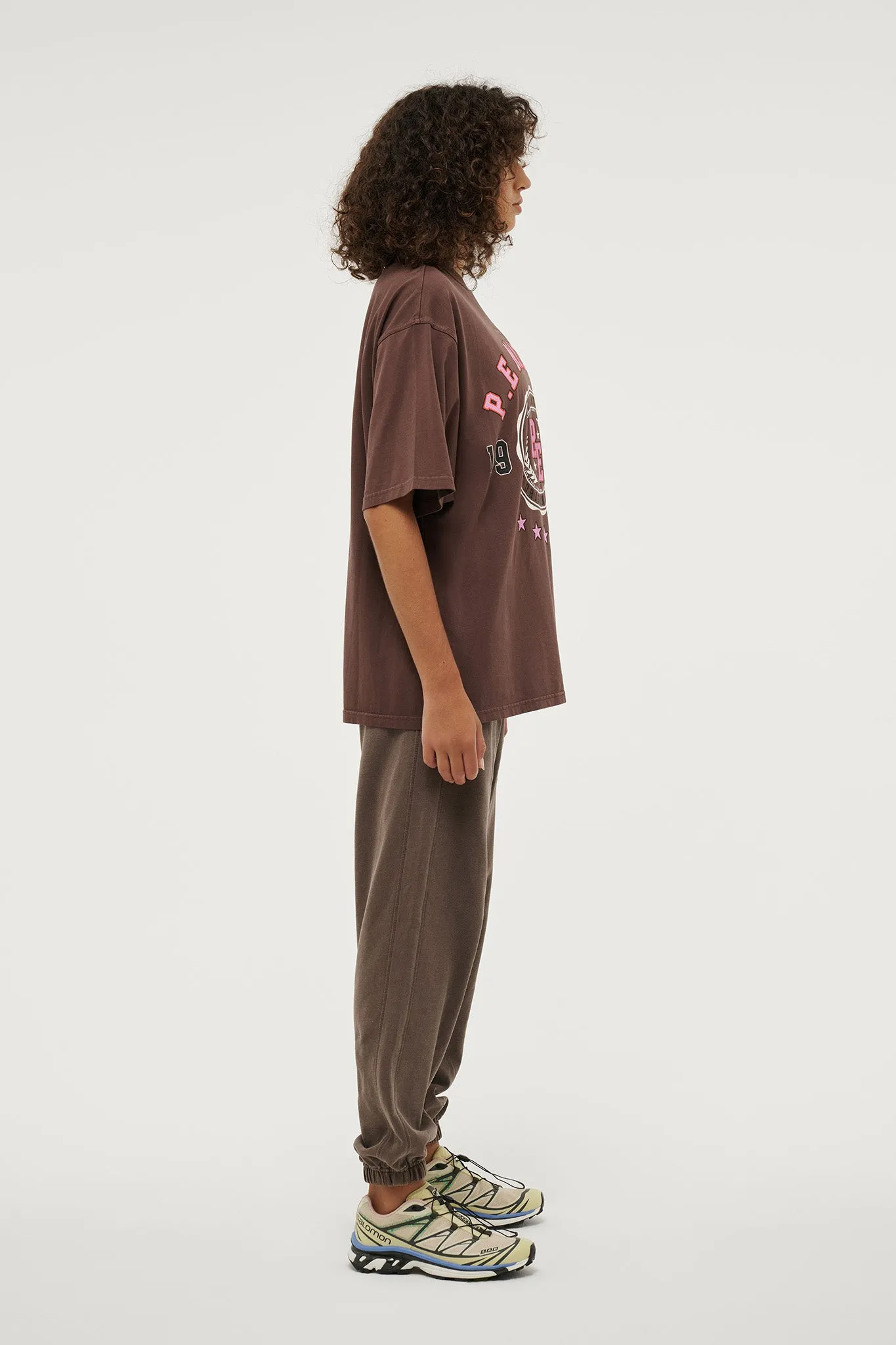 Phoenix Tee | Washed Chesnut