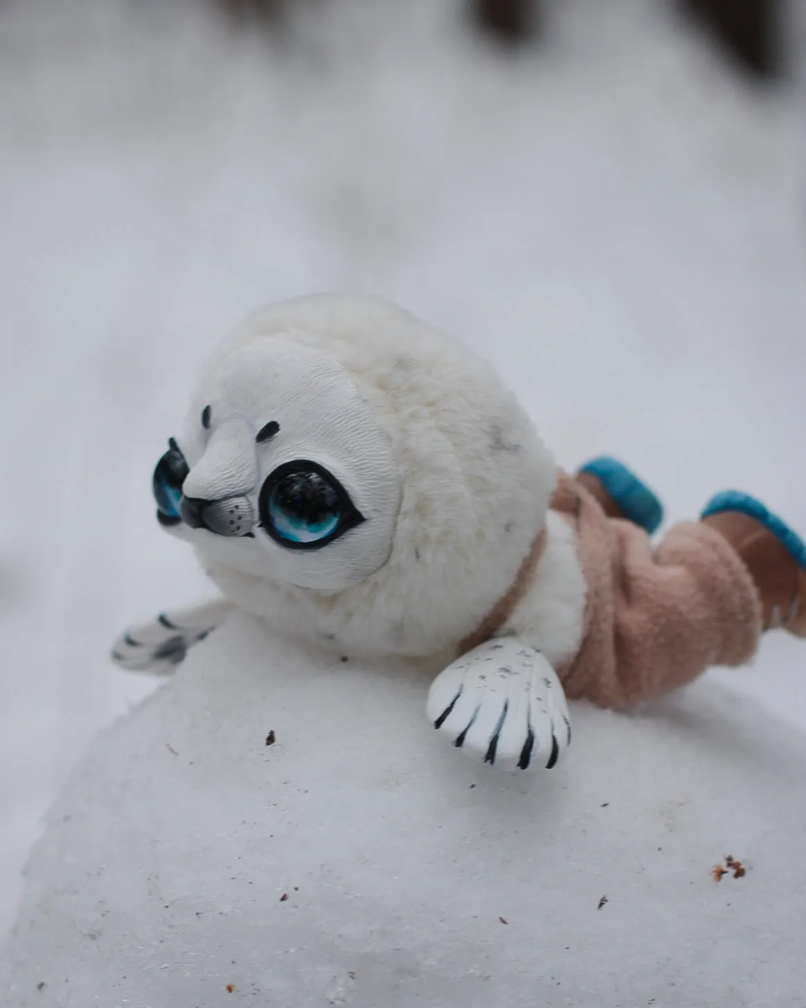 Seal in boots